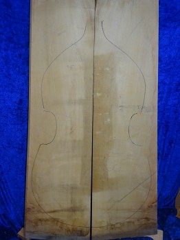 maple 2410
