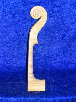 Violinneck 2438