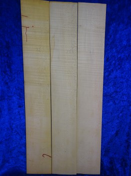 Celloribs 2976 from estate