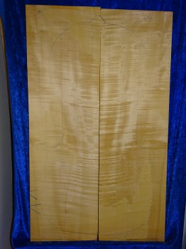 Maple 3131 Cello