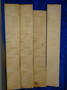 Celloribs 3163 from estate