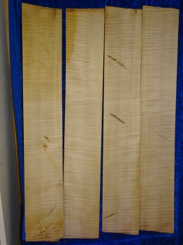 Celloribs 3164 from estate