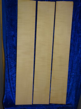 Celloribs 3165 from estate