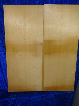 alte Fichte 3168