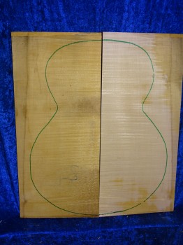 Ahorn 3171 Gitarre