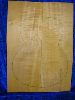 Ahorn 3174 Gitarre