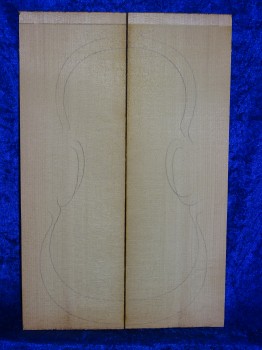 alte Fichte 3318 aus Nachlass