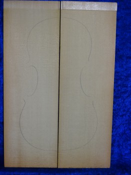 alte Fichte 3320 aus Nachlass