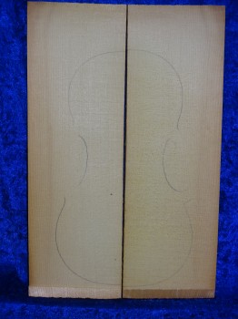 alte Fichte 3321 aus Nachlass