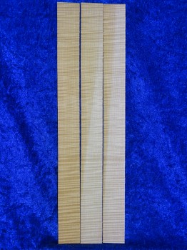 alte Geigenzargen 3369