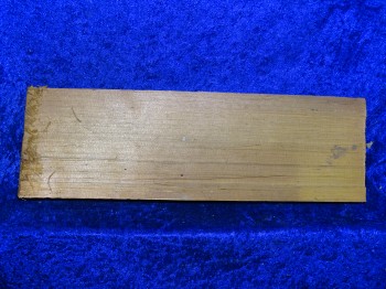 alte gespaltene Fichte 3446