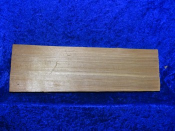 alte gespaltene Fichte 3447