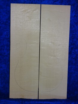 Spruce 3534 bearclaw