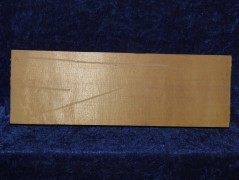 Fichte 3100 Hasel