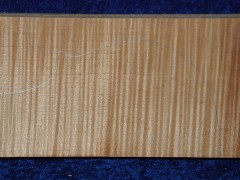 Ahorn 3245 aus Nachlass