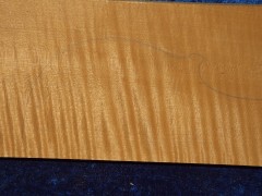 maple 1524 from estate