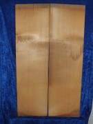 alte Fichte 3807 aus Nachlass