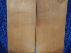 alte Fichte 3807 aus Nachlass