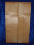 alte Fichte 3807 aus Nachlass
