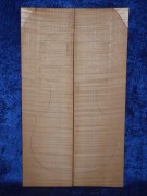 maple 3816 from estate