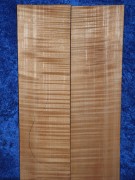 maple 3816 from estate