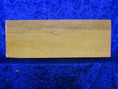 Ahorn 4468