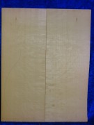 Fichte 3777 Gitarre Hasel