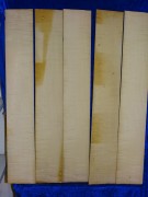 Celloribs 3934 from estate
