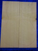 Fichte 4036 Gitarre Hasel