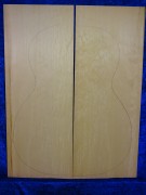 Spruce 1502 Guitar bearclaw