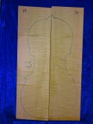 Maple 1707 Cello