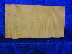 ganzer Ahorn 2395 aus Nachlass