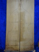 maple 2410