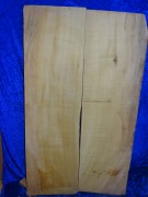 maple 2411
