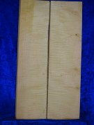 Ahorn 2446 Gitarre