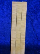 old Violinribs 2458