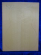 Fichte 2525 Gitarre Hasel