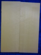 Fichte 2525 Gitarre Hasel