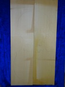 alte Fichte 2529