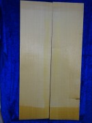 alte Fichte 2529