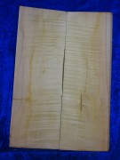 Ahorn 2535 Gitarre