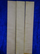 Celloribs 2537 from estate