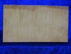 ganzer Ahorn 2597 aus Nachlass