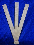 old Violinribs 2609
