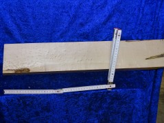 Vogelaugen groß 2752