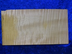 ganzer Ahorn 2785 3/4