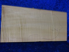Ganzer Boden 2786 3/4