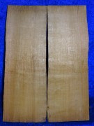 from estate: old Split spruce 2817