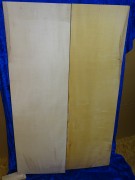 maple 2853