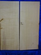 Ahorn 2854 Gitarre